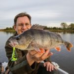 Beim Barschangeln im Herbst vertraut André Pawlitzki auf 3 bewährte Methoden. Dieser Fisch fand einen neongelben Crankbait zum Anbeißen gut! Foto: Blinker / M. Wendt