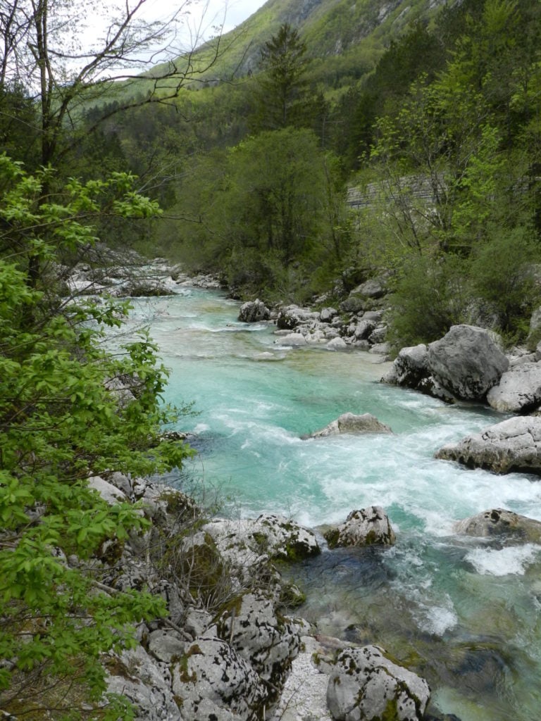 Fliegenfischer aus aller Welt zieht es zur smaragdgrünen Soča, die durchs Trenta-Tal in den Julischen Alpen fließt. Foto: D. Henkes