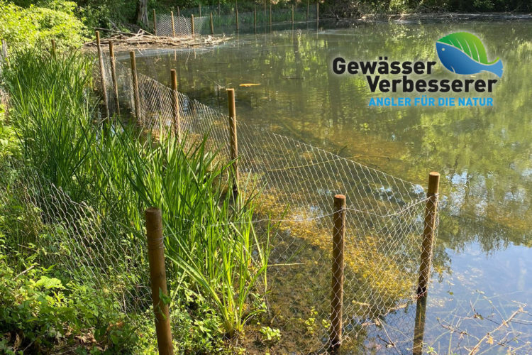 Der See am Hummelsbach erhielt eine neue Uferbepflanzung, zwei Schwimminseln und eine neues Jungfischhabitat durch die Einbringung von Totholzstrukturen. Foto: ASV Erprath