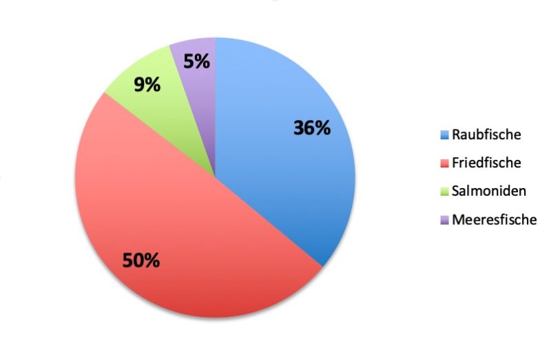 Die Hälfte aller gemeldeten Fänge waren Friedfische wie Rotauge und Brassen. Raubfische, Salmoniden und Meeresfische teilten die andere Hälfte unter sich auf. Grafik: Hitparade