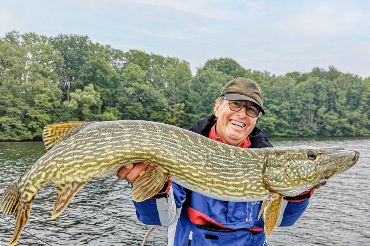 Angel-Guide Henry befischt den Plöner See seit Jahren. Er kennt sich dort aus wie niemand sonst! Foto: Archiv