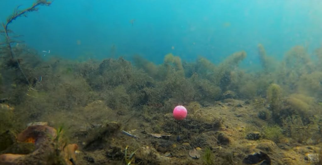 „Die Fressgeschwindigkeit der Fische wird krass überschätzt!“ – Florian nutzt lieber kurze Rigs, um keinen Biss zu verpassen. Foto: Inspiration Fischen (via YouTube)