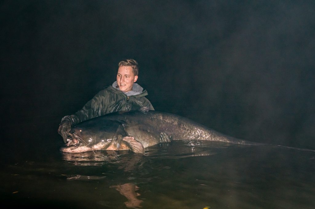 262 cm – dieser Wels ist der größte Fisch, der uns im Jahr 2022 gemeldet wurde!