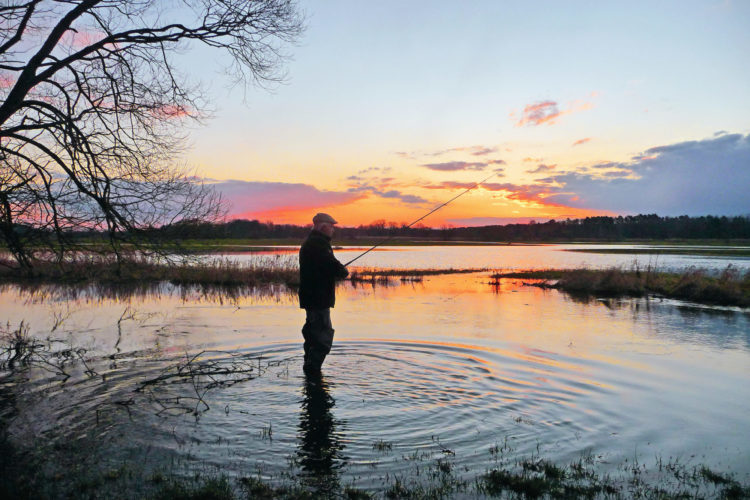 Ein Hochwasser schafft vor allem in der Uferzone viele neue Einstände für Fische. Foto: E. Hartwich