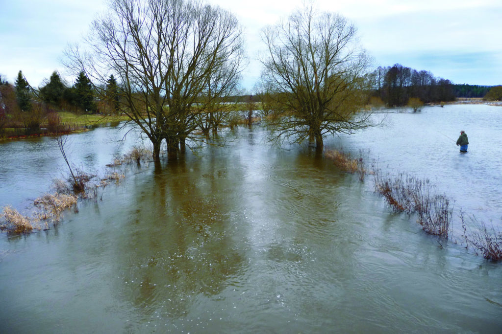 Angeln auf der Wiese, das ist an warmen Tagen möglich. Die Fische werden direkt angefischt. Foto: E. Hartwich