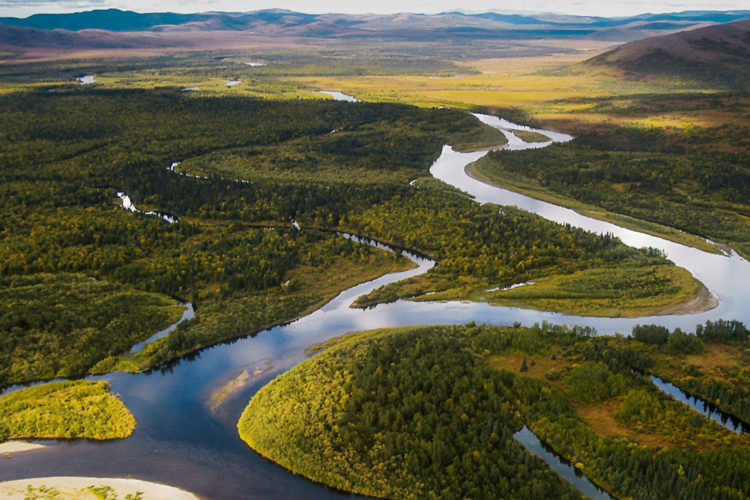Die Flüsse der Bristol Bay sind noch völlig naturbelassen. Das soll auch so bleiben. Foto: Wild Salmon Center / R. Peterson