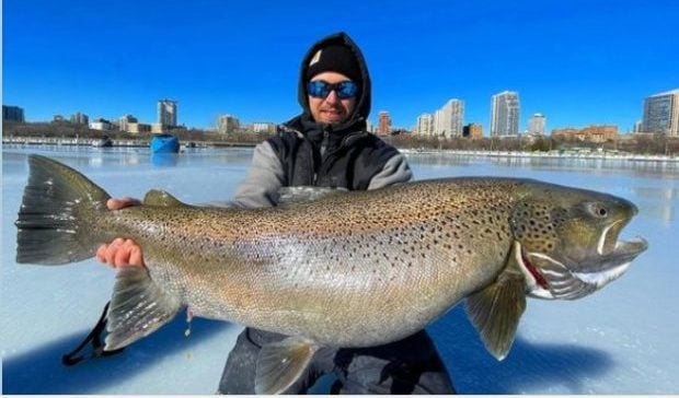 Gigantische Bachforelle vom Eis. Als Guide weiß Eric, wo solche Fische stehen. Foto: E. Haataja (via Facebook)