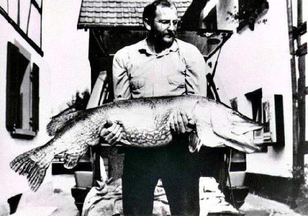 Lothar Louis fing den 25 kg schweren IGFA-Rekordhecht im Jahr 1986. Foto: IGFA