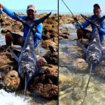 Thomas Paulsen machte den Fang seines Lebens: Der 48-jährige Däne fing einen Schwertfisch, indem er ihn gezielt mit der Fliege anwarf. Foto: T. Paulsen (via Facebook)