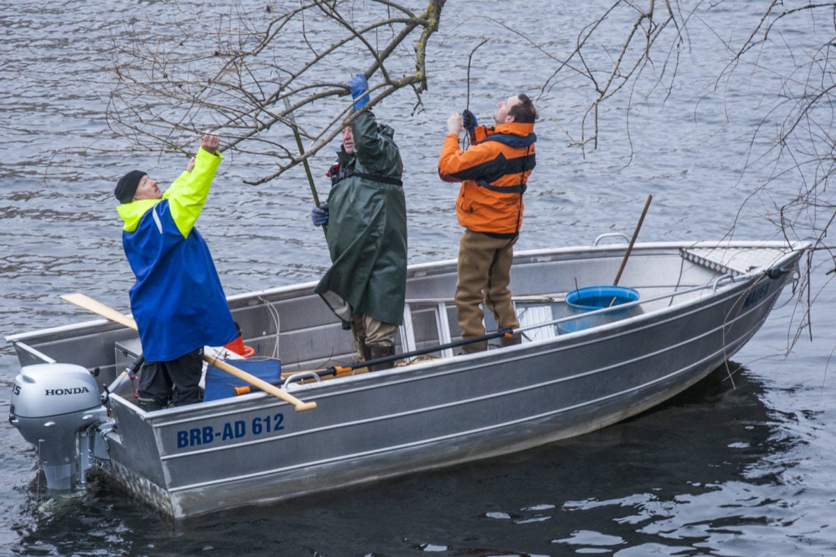 Aufräumarbeiten an der Alten Fahrt in Potsdam. Am Hegetag waren in ganz Brandenburg Angler unterwegs, um die Gewässer sauber zu halten. Foto: Marcel Weichenhan / LAVB