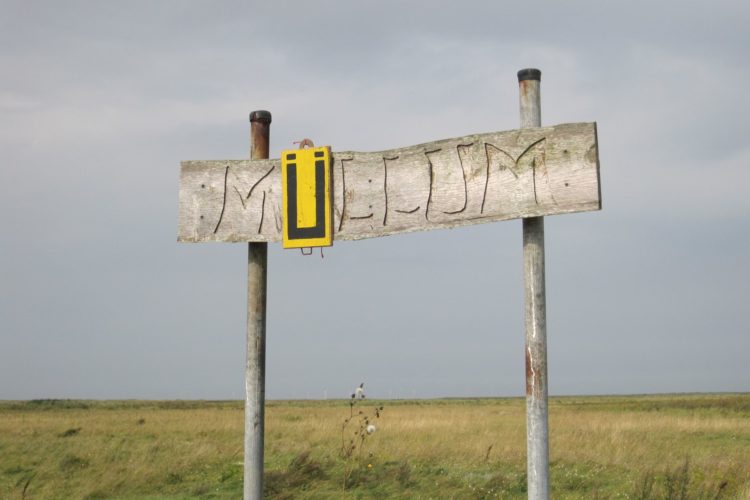 Mellum ist eines der letzten Paradiese in Deutschland – aber voller Müll. Eine engagierte Jugendgruppe wollte das ändern! Foto: Landesfischereiverband Weser-Ems e.V.