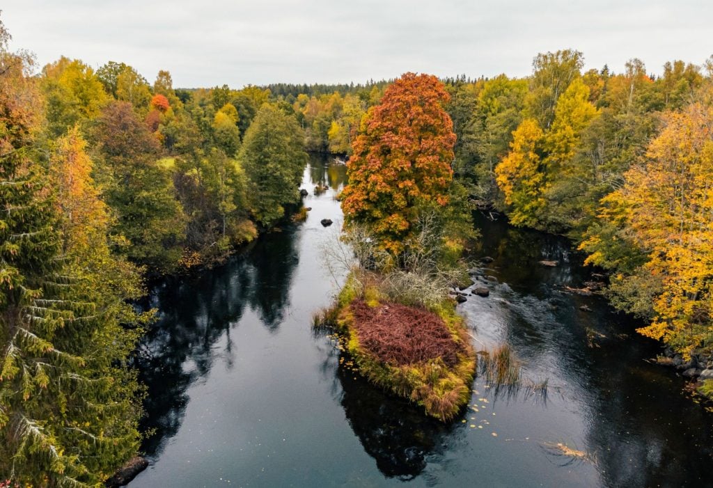 Tiefe Gumpen und langsam fließende Bereiche sind die Hotspots am Emån, hier kann man fast mit allem rechnen. Foto: Waldemar Krause