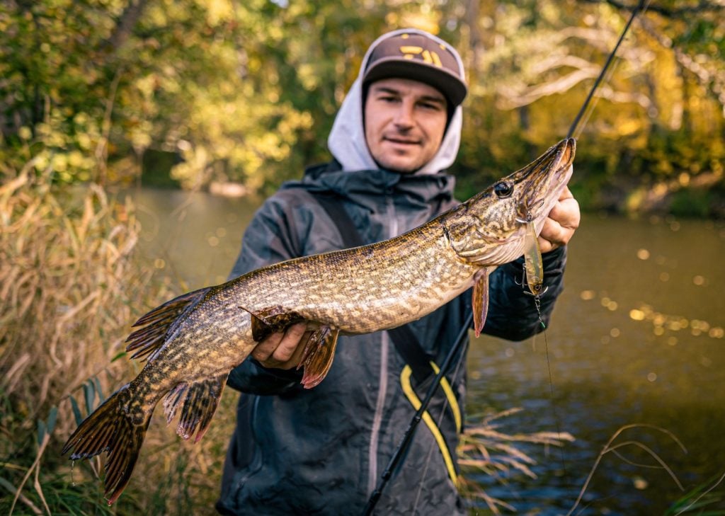 Stattliche Hechte bis 80 cm fingen Adrian (Foto) und Waldemar auf Wobbler und Oberflächenköder, hier einen Daiwa Steez Prop. Foto: Waldemar Krause