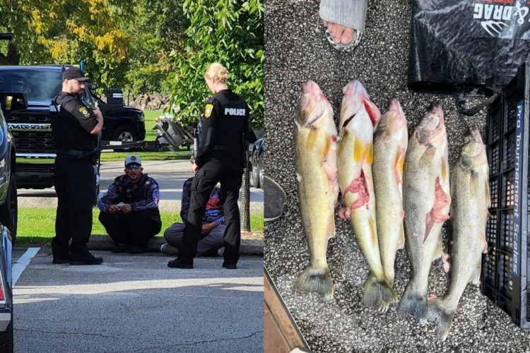 Cominsky und Runyan sprechen mit der Polizei (li.); die gefangenen Walleyes wurden aufgeschlitzt, um die Gewichte zu finden.