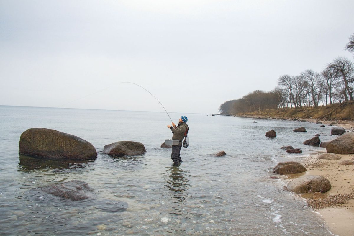 Der Nationalpark Ostsee hätte zum Beispiel die Insel Fehmarn umfasst.