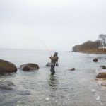 Der Nationalpark Ostsee hätte zum Beispiel die Insel Fehmarn umfasst.