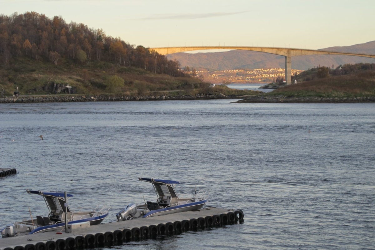 Der Saltstraumen ist ein exzellentes Revier und zurecht ein Traumziel für viele Norwegenangler.