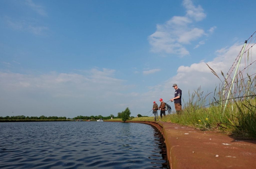 Begradigten Flussabschnitten fehlen ausgedehnte Flachwasserzonen. Dort produzieren Wasserpflanzen normalerweise eine große Menge an Sauerstoff.