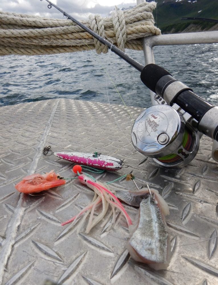 Mit Inchiku sowie Garnelen und Fischfetzen ging’s auf Steinbeißer.