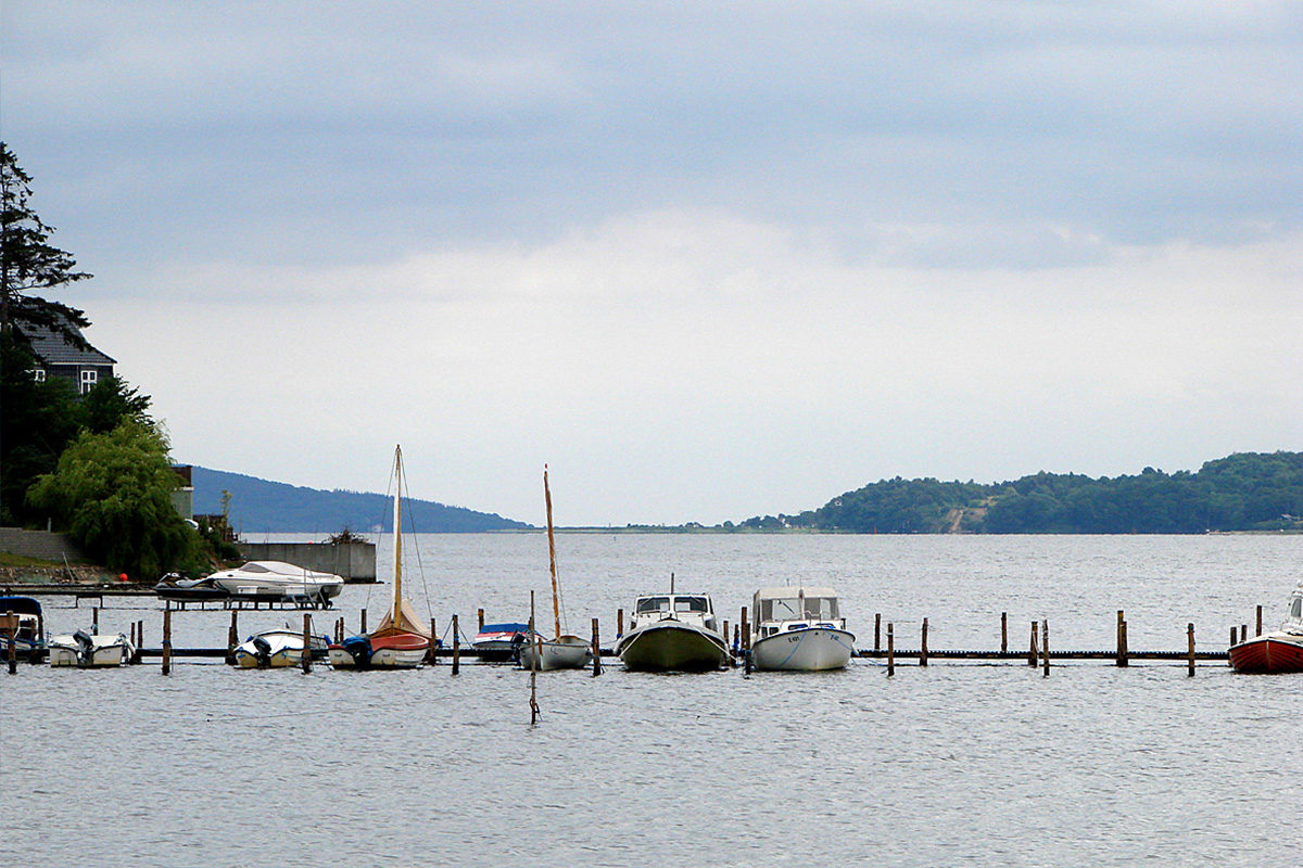 Dänemark: Vejle Fjord ist kollabiert - BLINKER