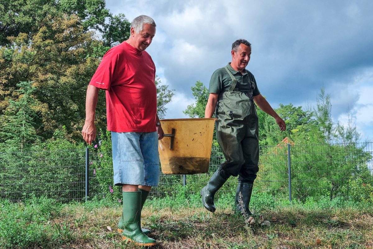 Im Laufe des Tages wurden etwa 350 Kilogramm gefangen und umgesetzt.