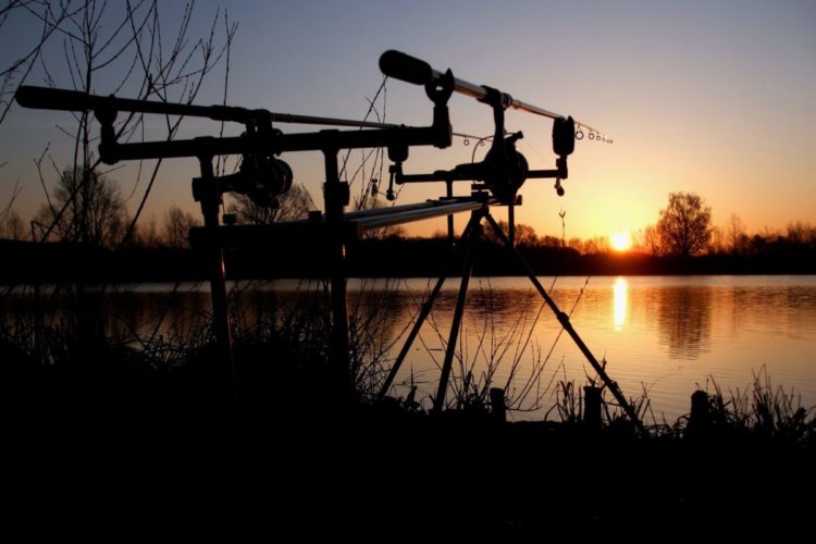 Da er unerlaubt nachts an einem Baggersee fischte, wurde ein 24-Jähriger Angler verurteilt. Seine Ruten durfte er jedoch behalten.