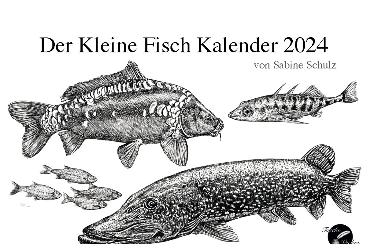 Heute im BLINKER-Adventskalender: Ein Fisch-Kalender und ein Fisch-Familienplaner für 2024!