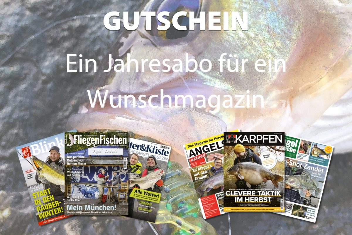 Heute im BLINKER-Adventskalender: Ein Jahresabo für ein Angelmagazin Deiner Wahl!