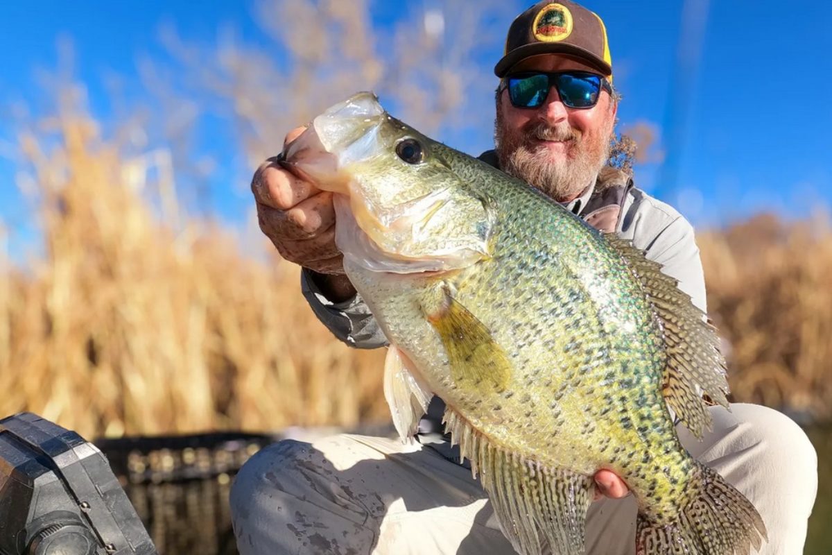 Der Crappie von Eric Allee wog fast 2 Kilo – ein neuer Rekord im Bundesstaat Colorado.