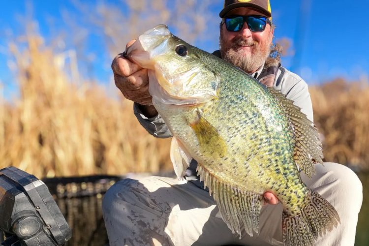 Der Crappie von Eric Allee wog fast 2 Kilo – ein neuer Rekord im Bundesstaat Colorado.