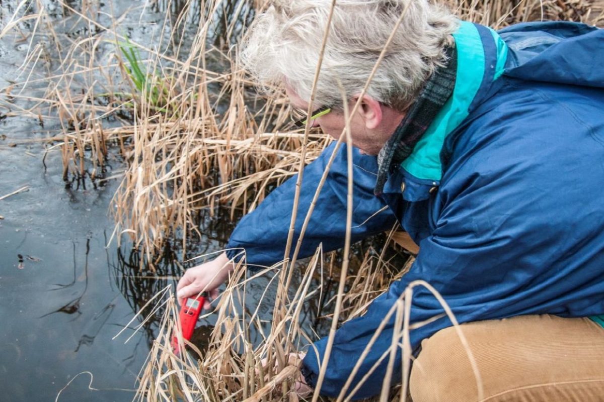 Beim landesweiten Hegetag kümmern sich Brandenburger Angler um ihre Gewässer.