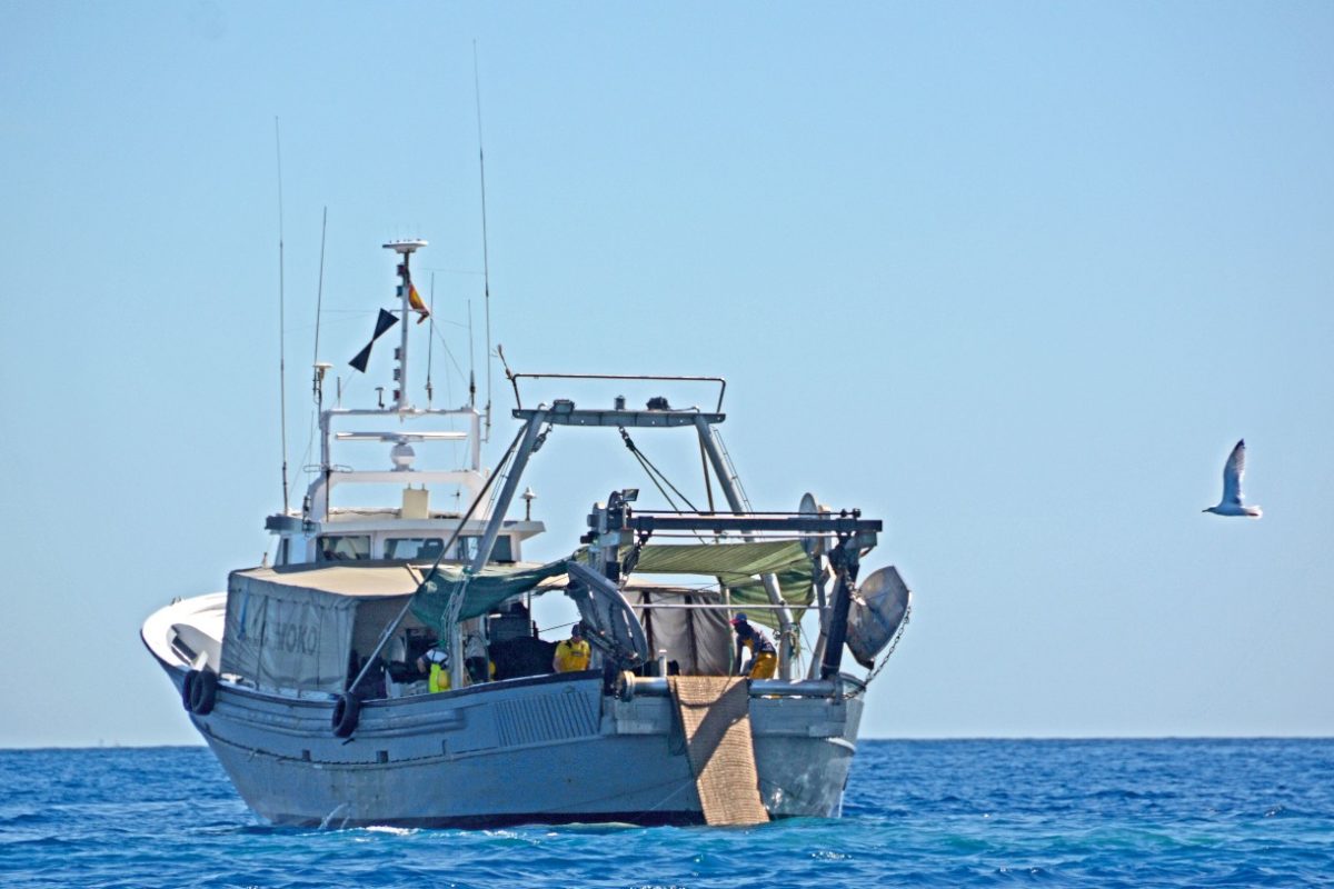 Die Fischerei mit Grundschleppnetzen richtet große Schäden in marinen Ökosystemen an.