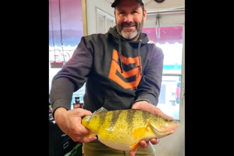 Mit 1,37 kg ist der Flussbarsch von Chuck Main (beinahe) ein neuer Rekord in Pennsylvania.