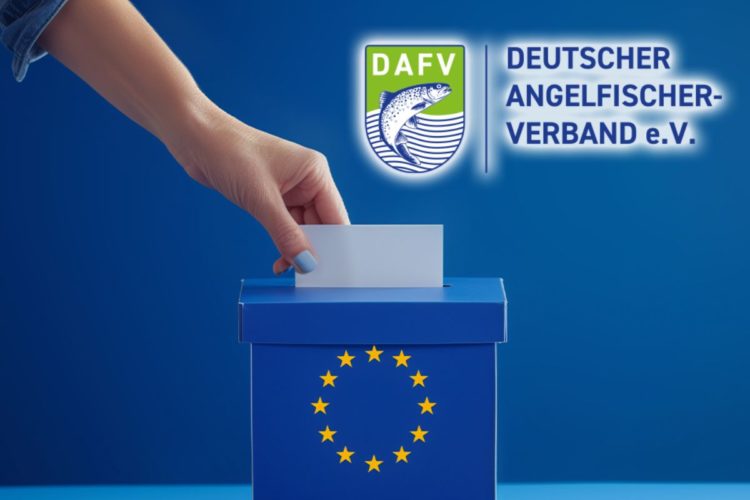 Wahlurne mit Europaflagge