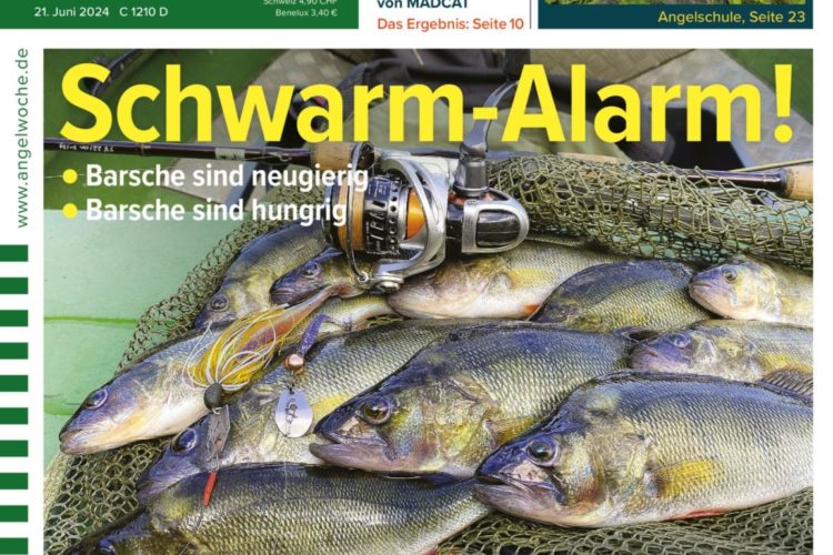 Cover der Angelwoche 14/2024: Barsche