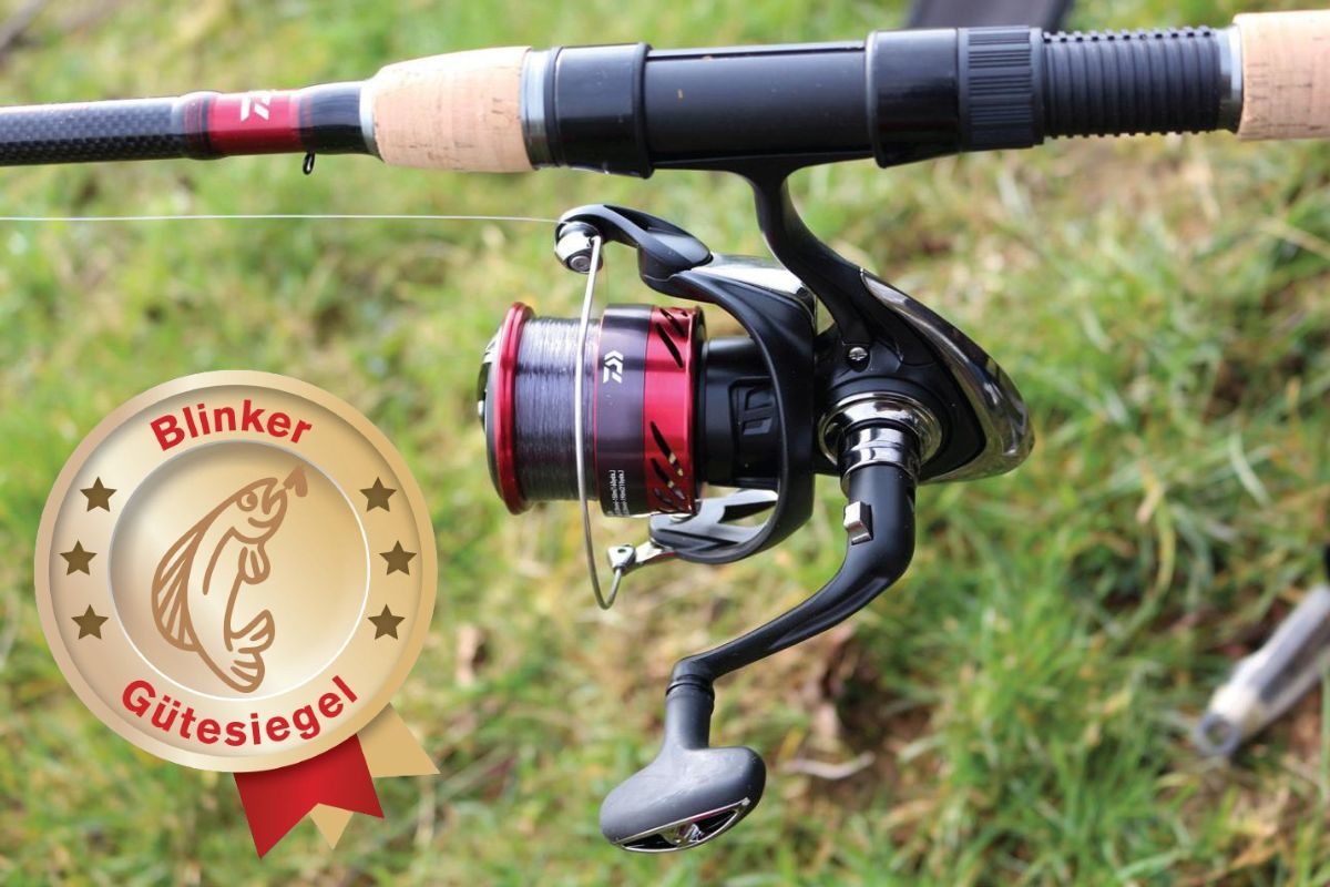 Daiwa Ninja 4000 Match & Feeder an der Angelrute