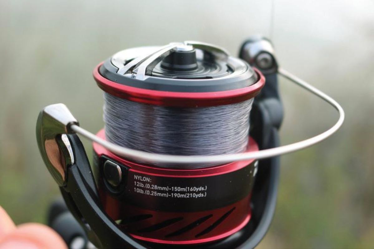 Die Spule der Daiwa Ninja 4000 Match & Feeder