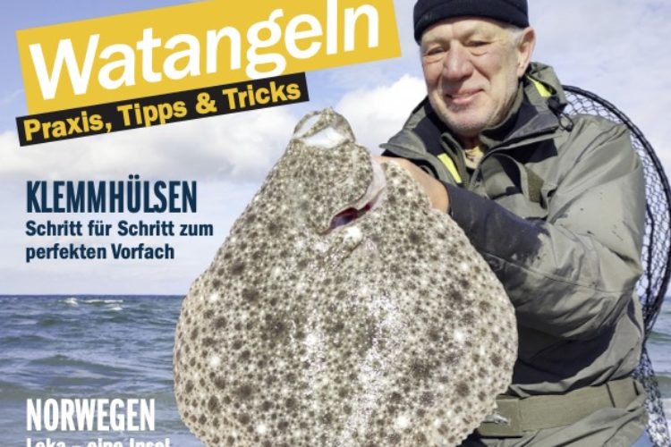 Das Cover der 105. Ausgabe von Kutter & Küste mit einem Plattfisch