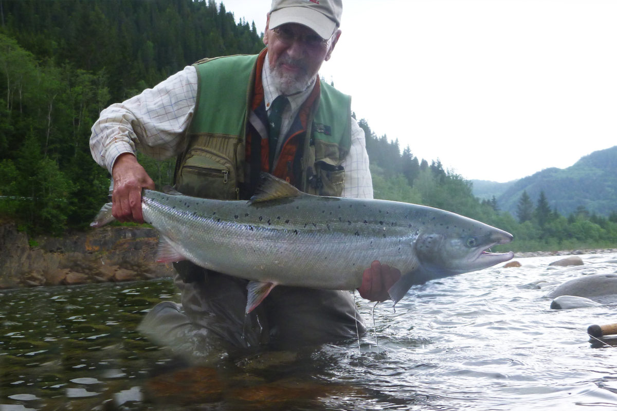 Lachs aus der Gaula in Norwegen, gefangen von Manfred Raguse.