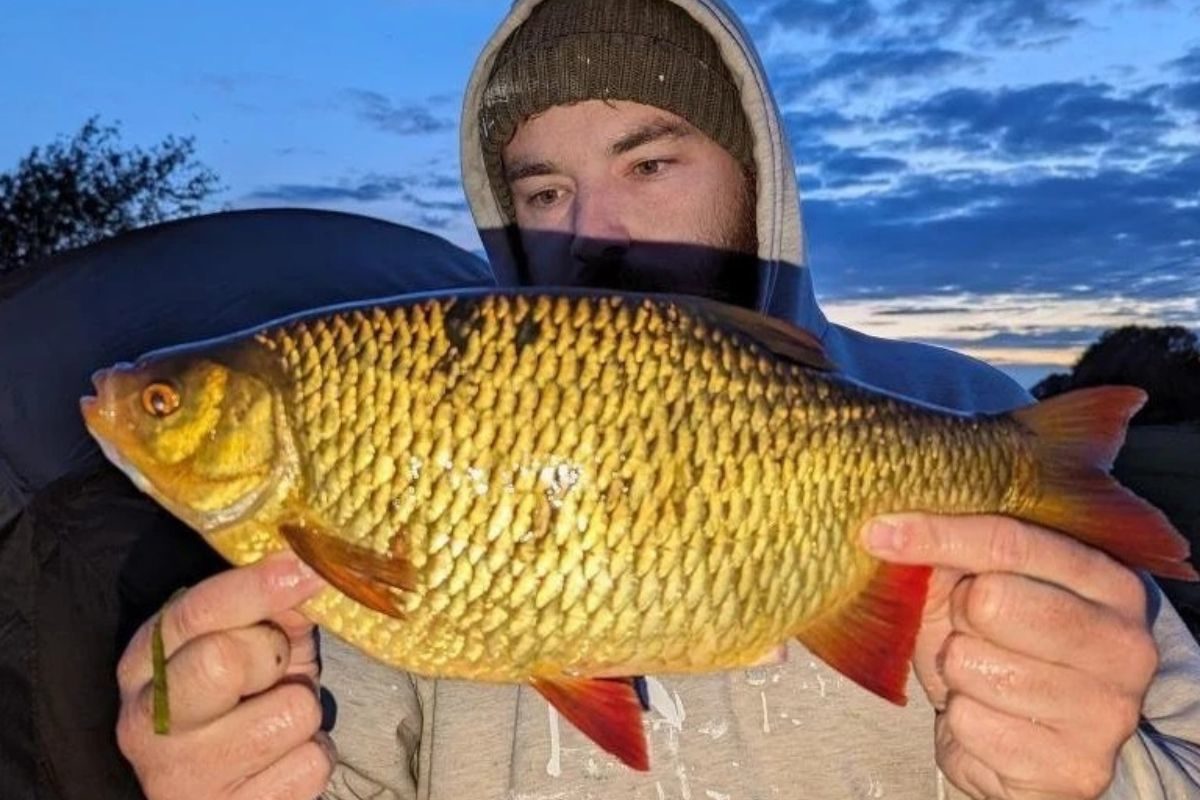 Sam Smith mit goldener Rotfeder