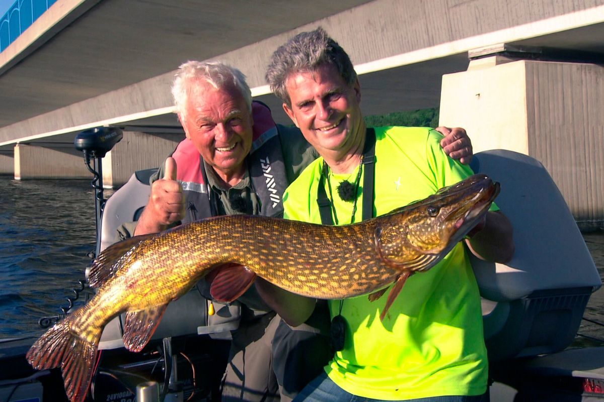 Meterhecht aus dem Möhnesee! NDR Angelexperte Horst Hennings und Angelprofi Uli Beyer freuen sich über diesen Ausnahmefisch.