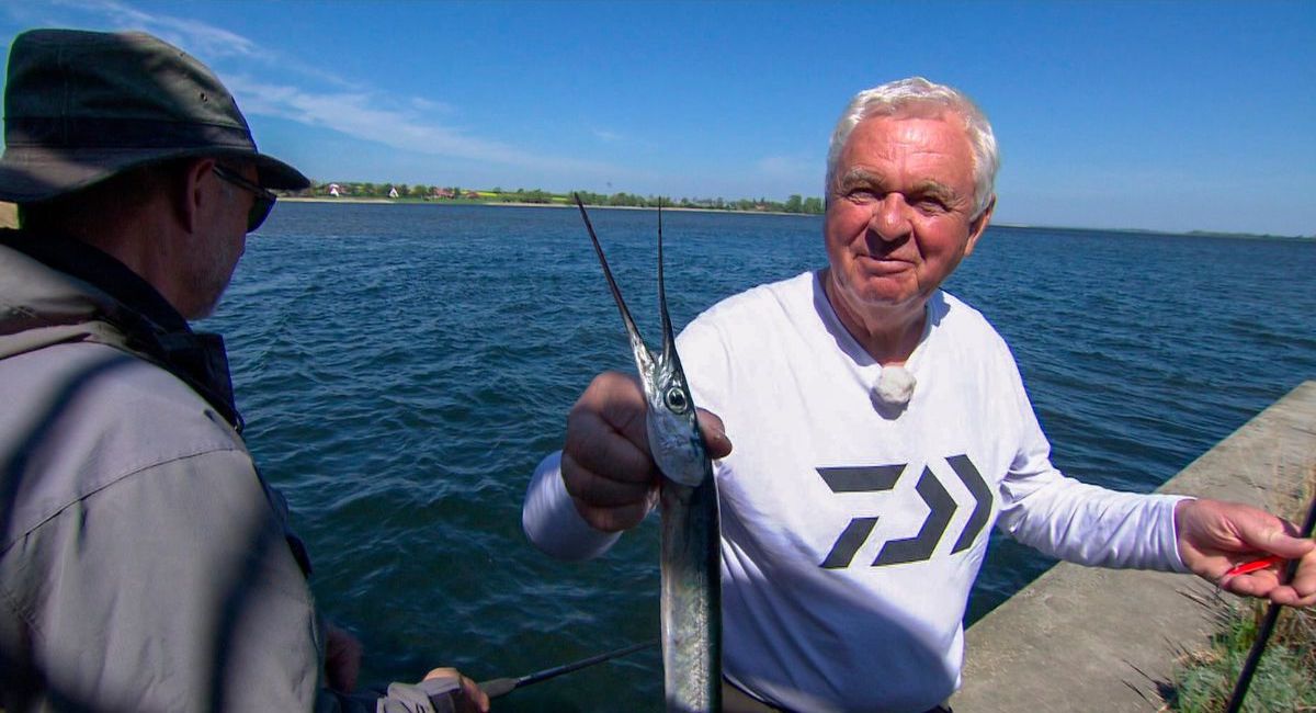 Ein „Ostsee-Marlin“ hat gebissen. NDR Angelreporter Horst Hennings freut sich über den großen Hornhecht.