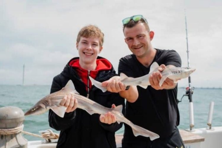 Zwei Angler mit Haien, für Sharkatag gefangen.
