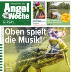 AngelWoche