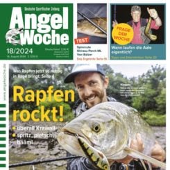 AngelWoche