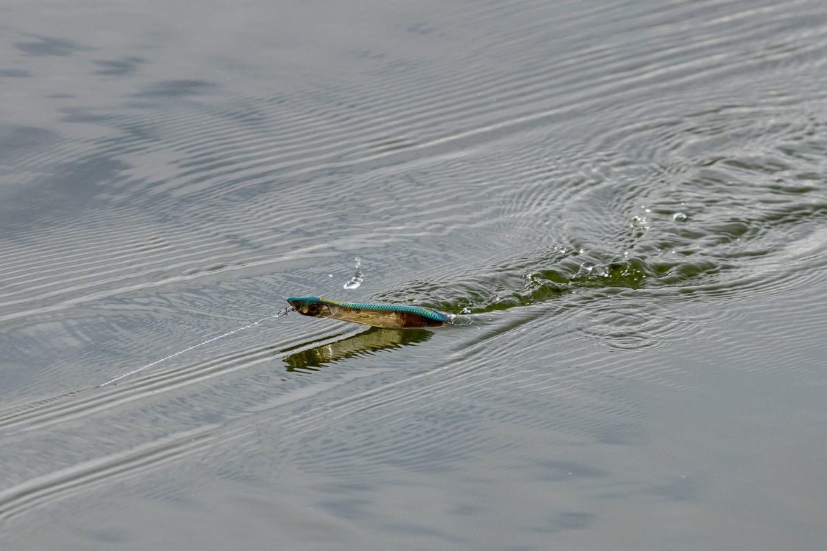 Kunstköder auf der Wasseroberfläche