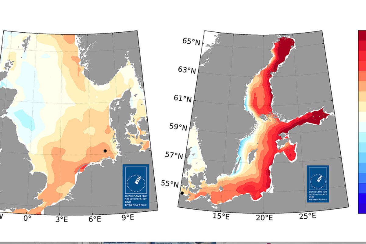 Rekordtemperaturen in der Ostsee: Sommer 2024 zählt zu den wärmsten