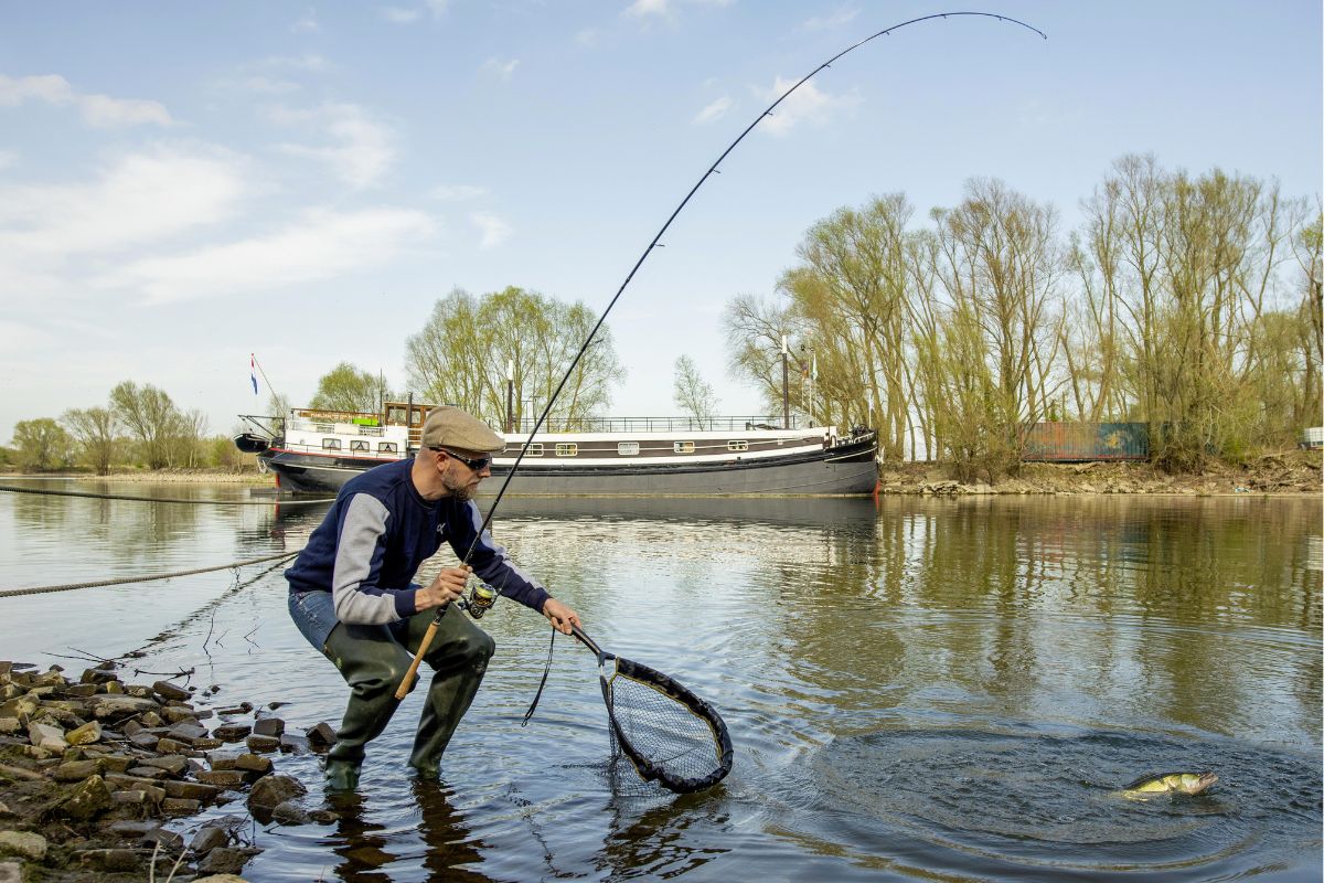 Joran landet seinen ersten Cup-Rig-Zander.