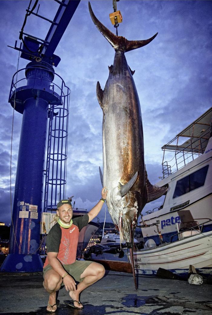 Fangbild Blauer Marlin