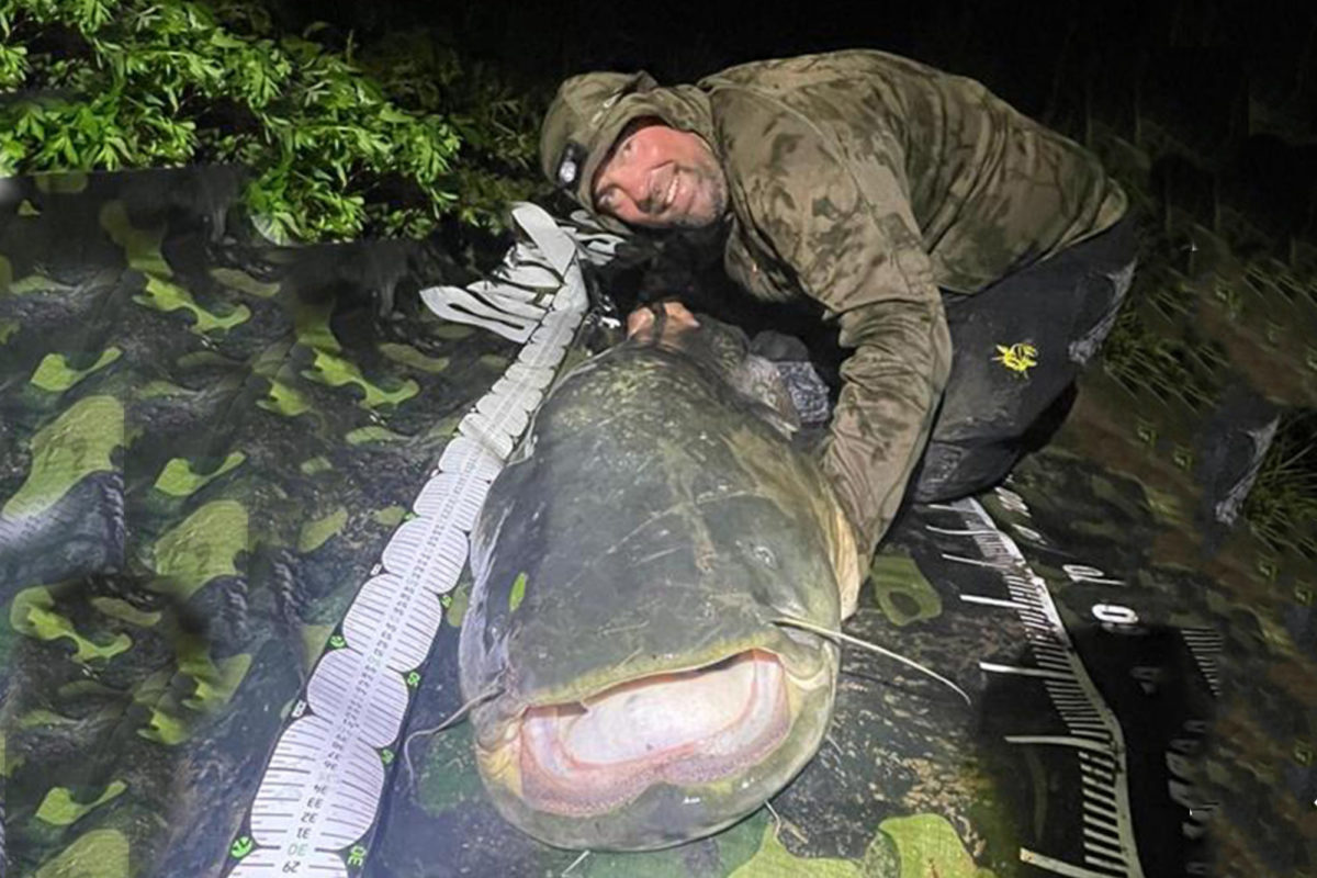 Wels auf Abhakmatte mit stolzem Angler